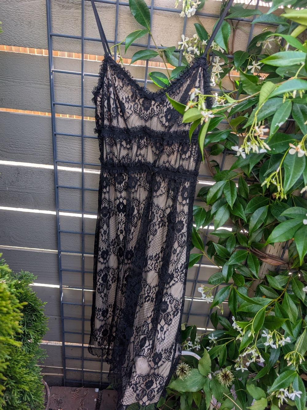 As U Wish Black Lace Slip Chemise with Sheer Floral Overlay